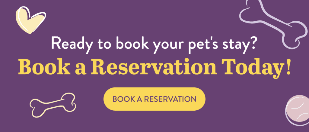 Pet Palace Book a Pet Boarding Reservation