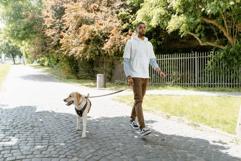 loose-leash dog walking